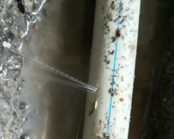 蚌埠卫生间测漏水多少钱