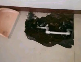 蚌埠卫生间测漏水多少钱